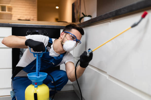 Best Pest Prevention Services  in Benson, UT