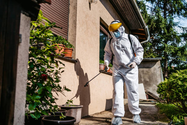Best Emergency Pest Control  in Benson, UT