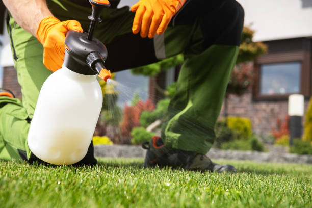 Best Pest Control Near Me  in Benson, UT