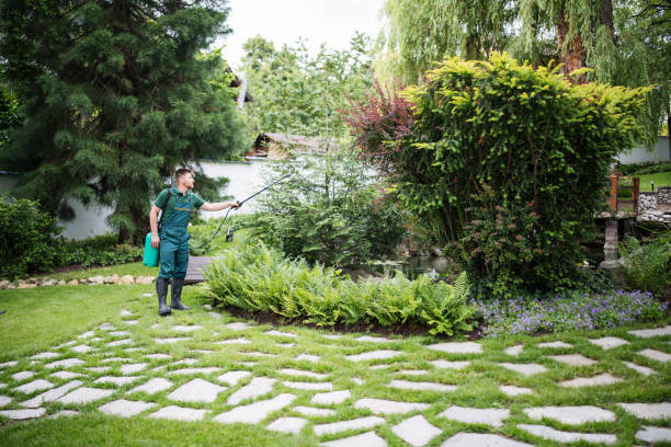 Best Exterminator Services  in Benson, UT