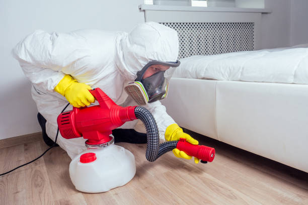 Wasp Removal Services in Benson, UT