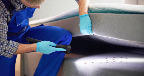 Best Local Pest Control Services  in Benson, UT