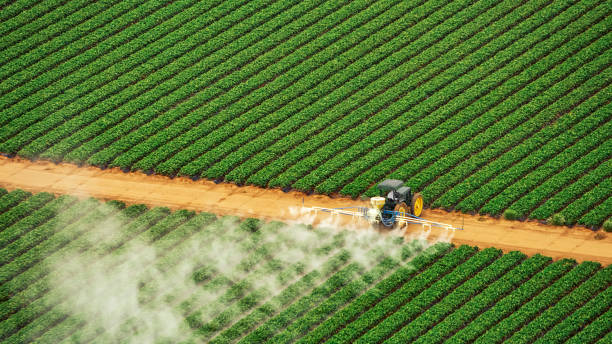 Best Ant Control Services  in Benson, UT