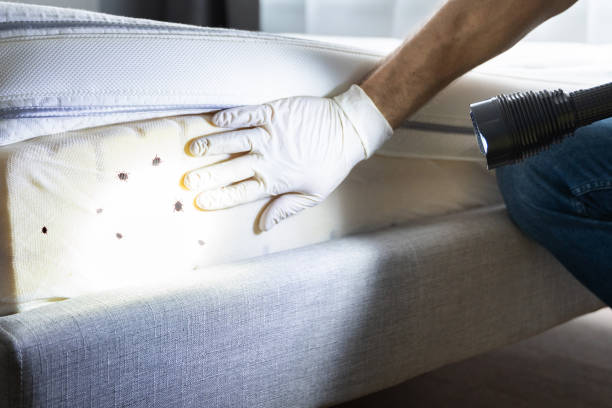 Best Wildlife Control Services  in Benson, UT
