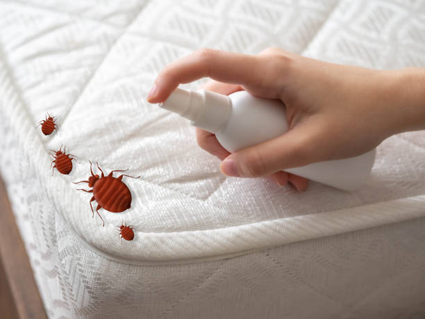 Professional Pest Control in Benson, UT