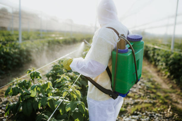 Best Pest Removal Services  in Benson, UT